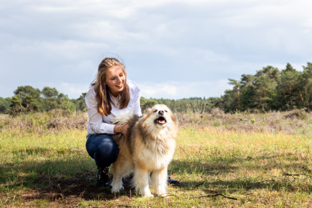 Marleen Verheul Fotografie-hondenfotografie-ijslandse hond